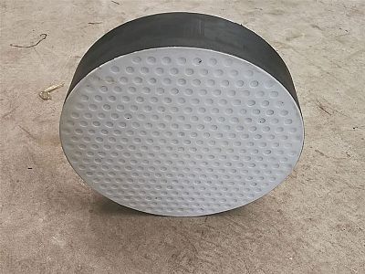 金阳县四氟板式橡胶支座易于更换缓冲隔震